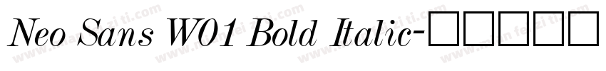 Neo Sans W01 Bold Italic字体转换